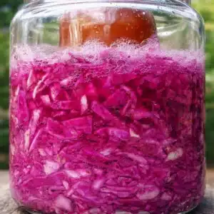 Homemade fermented cabbage ready to be enjoyed as a tangy side dish or ingredient.