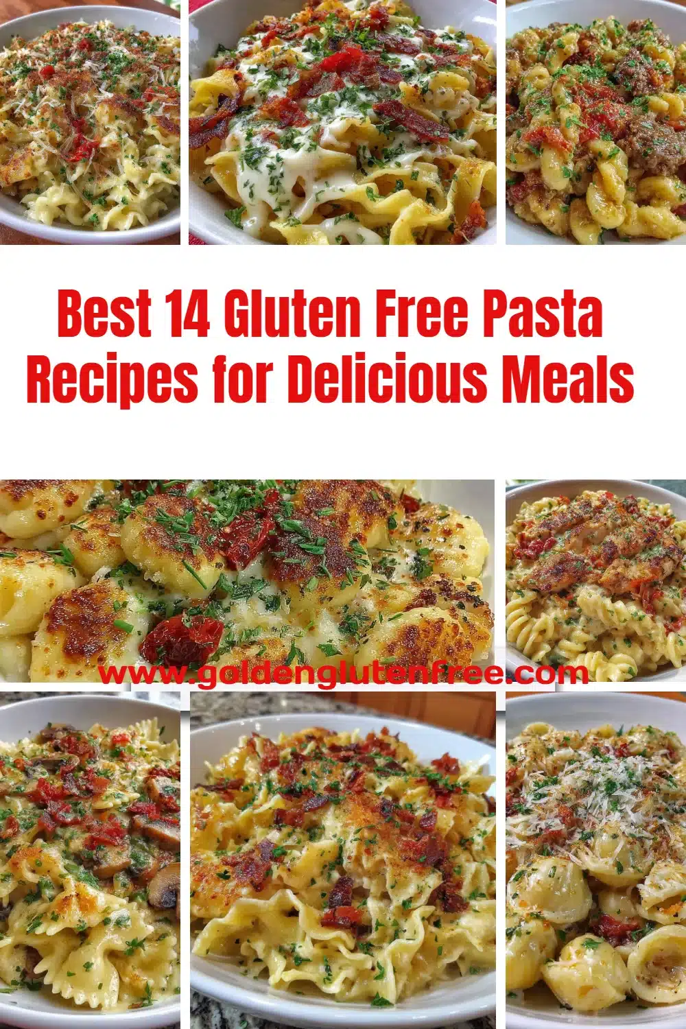 Variety of gluten free pasta dishes served with fresh ingredients and sauces.