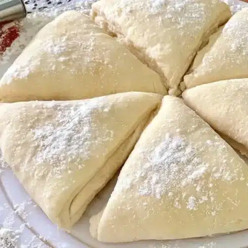 Homemade Crescent Roll Dough 2026 08 15 200939 1024x683 1